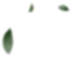 Matrix