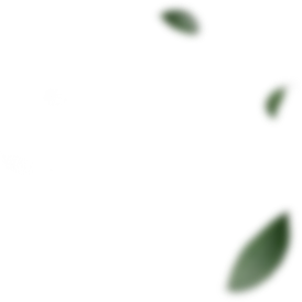 Matrix