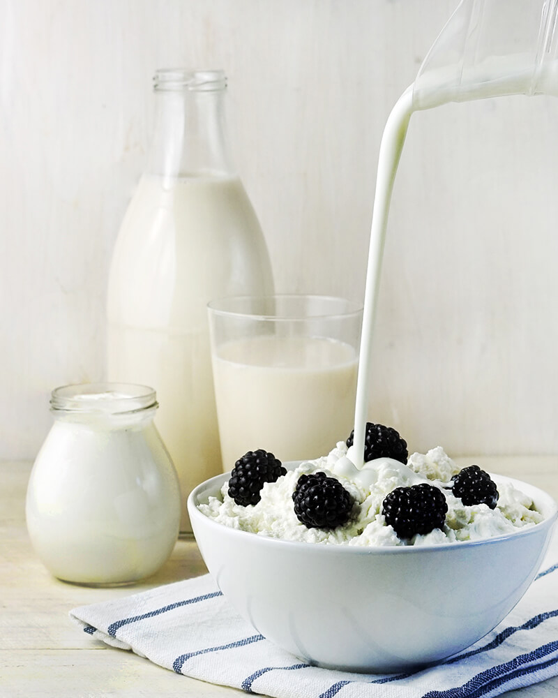 Dairy