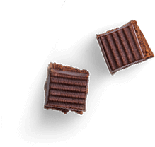 Food Industry