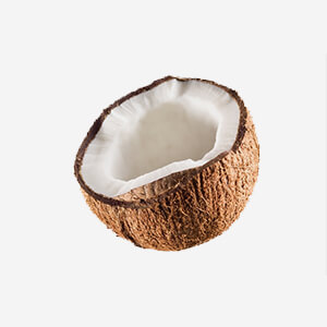 img-coconut