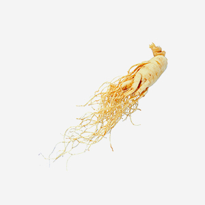 img-ginseng