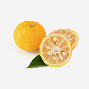 img-yuzu