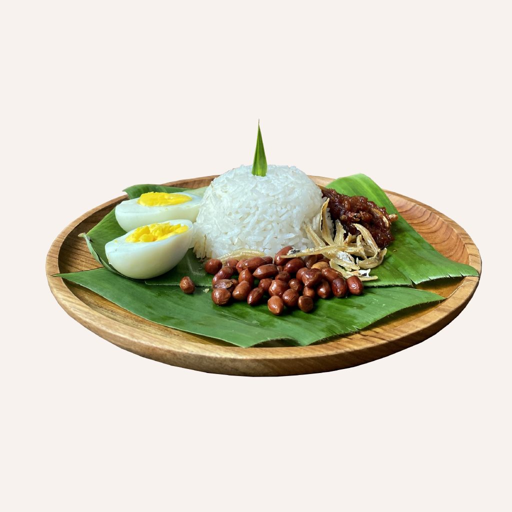 nucoco-nasi-lemak